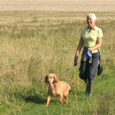 Highfields-Dog-Friendly