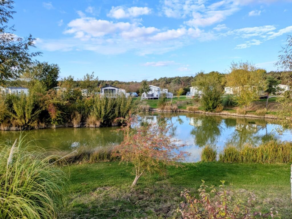 Aspen View